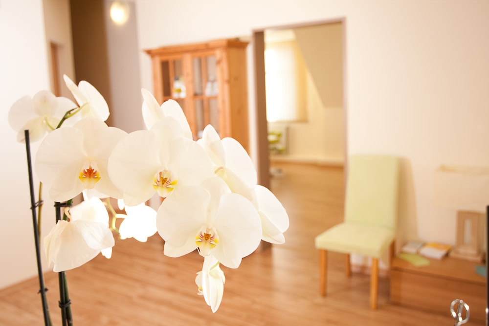 Empfangsbereich der Naturheilpraxis Kröling